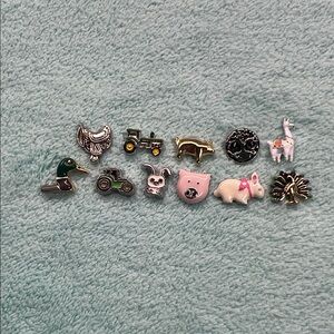 Farm-Themed Floating Locket Necklace Charm Set